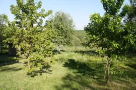 Savršena kuća za odmor u srcu prirode, Grubišno Polje, Kuća