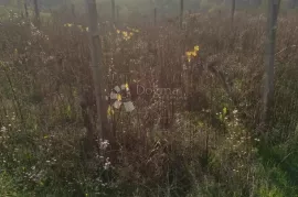 Zemljište na top lokaciji - DUGI VRH, Gornji Kneginec, Zemljište