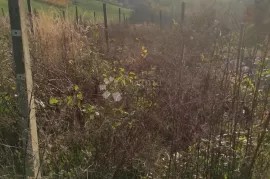 Zemljište na top lokaciji - DUGI VRH, Gornji Kneginec, Zemljište