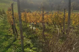 Zemljište na top lokaciji - DUGI VRH, Gornji Kneginec, Zemljište