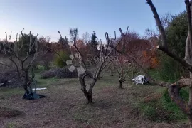 Prekrasna parcela u šarmantnom Šišanu, Ližnjan, Zemljište