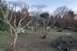 Prekrasna parcela u šarmantnom Šišanu, Ližnjan, Zemljište