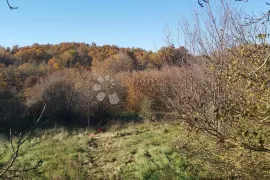 Obiteljska kuća u mirnom selu, 5 spavaćih soba, Pazin - Okolica, Casa