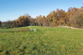 Prostrano kombinirano zemljište, 4300 m², Žminj, Zemljište