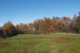 Prostrano kombinirano zemljište, 4300 m², Žminj, Zemljište