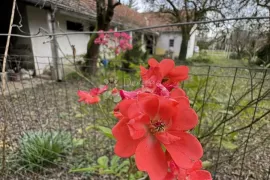 Obiteljska kuća u srcu malog mjesta – spoj seoskog mira i blizine grada, Severin, Kuća