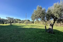 EKSKLUZIVNO - Prostrano zemljište na lijepoj lokaciji, Vodnjan, Zemljište