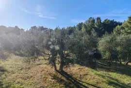 ZABLAĆE - ŠIBENIK - MASLINIK, Šibenik - Okolica, Zemljište