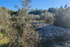 ZABLAĆE - ŠIBENIK - MASLINIK, Šibenik - Okolica, Zemljište