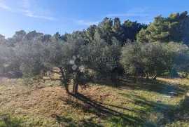 ZABLAĆE - ŠIBENIK - MASLINIK, Šibenik - Okolica, Zemljište