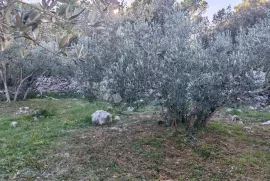 ZABLAĆE - ŠIBENIK - MASLINIK, Šibenik - Okolica, Zemljište