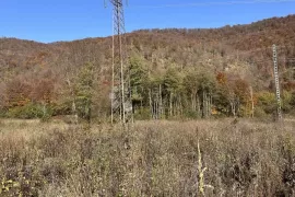 PRODAJE SE POLJOPRIVREDNO ZEMLJIŠTE 3000 m2 PODNO VELEBITA, Gospić - Okolica, Zemljište