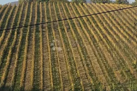 Kuća za odmor u Lokošin Dolu, Jastrebarsko - Okolica, Kuća