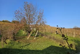 Kuća za odmor u Lokošin Dolu, Jastrebarsko - Okolica, Kuća