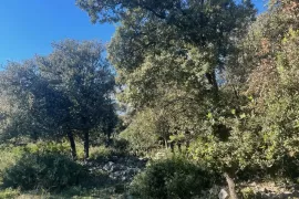 Poljoprivredni teren u Osoru, Mali Lošinj, Zemljište