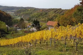 Klijet / vikendica nadomak Vinskom Vrhu sa 2.277m² izuzetno vinorodnog zemljišta, Hrašćina, Kuća