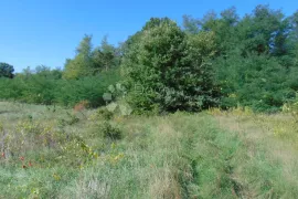 Poljoprivredno zemljište između Roča i Huma, Buzet, Zemljište