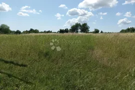 Malo poljoprivredno zemljište u blizini sela, Buzet, Zemljište