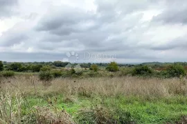 BARBAN – građevinska parcela s prekrasnim, otvorenim pogledom, Barban, Zemljište