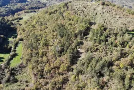 Sjajno poljoprivredno zemjište u okolici Buzeta, Buzet, Zemljište