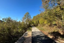 Poljoprivredno zemljište uz cestu na mirnoj lokaciji, Buzet, Zemljište