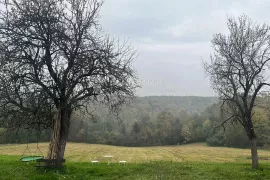 Dvije kuće, građevinsko i poljoprivredno zemljište, šuma, Našice, Kuća