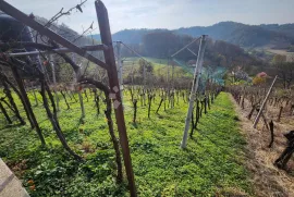 Vikendica nadomak Stubice sa pogledom koji oduzima dah!, Donja Stubica, Kuća