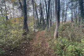 BRUŠANE 7300 m2 - TURISTIČKA NAMJENA, Gospić - Okolica, Zemljište