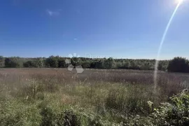 GRAĐEVINSKO ZEMLJIŠTE OKRUŽENO ZELENILOM, 20MIN DO GRADA POREČA!, Tinjan, Zemljište