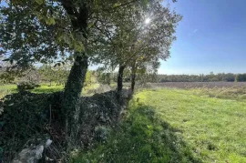 GRAĐEVINSKO ZEMLJIŠTE NA RUBU SELA, 20 MIN OD POREČA!, Tinjan, Zemljište