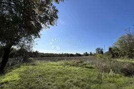 GRAĐEVINSKO ZEMLJIŠTE NA RUBU SELA, 20 MIN OD POREČA!, Tinjan, Zemljište