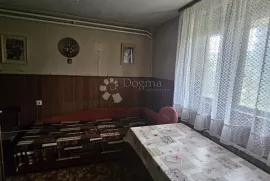 Ogroman potencijal u Doljanu, Sveti Ilija, Kuća