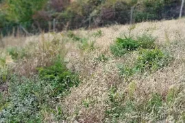 Dva zemljišta u građevnoj zoni Markuševec, Podsljeme, Zemljište