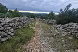 MASLINIK S POGLEDOM NA MORE MILNA BRAČ, Milna, Zemljište