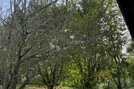 Kuća za odmor uz tišinu i mir šume, Rovišće, Kuća