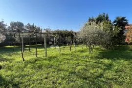 Građevinsko zemljište s kućom, centar, Funtana, Zemljište