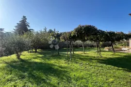 Građevinsko zemljište s kućom, centar, Funtana, Zemljište