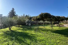 Građevinsko zemljište s kućom, centar, Funtana, Zemljište