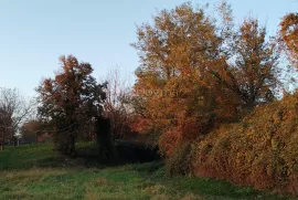 Prostrano građevinsko zemljište blizu Križevaca, Križevci, Zemljište