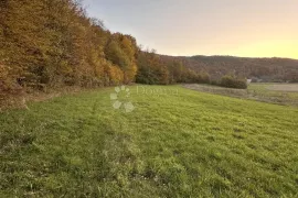 PERUŠIĆ PRODAJE SE GRAĐEVINSKO ZEMLJIŠTE, Perušić, Zemljište