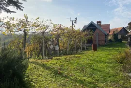 Kuća s potencijalom - Vinica Breg, Vinica, Kuća