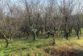 Zemljište u Črešnjevu, Beretinec, Zemljište