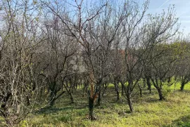 Zemljište u Črešnjevu, Beretinec, Zemljište