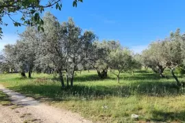 Prekrasan maslenik u Fažani, Fažana, Zemljište