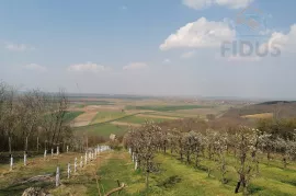 Stambeno/poslovna nekretnina -Popovac/Baranja, Popovac, Kuća