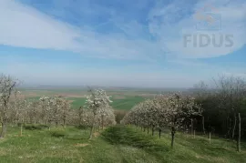 Stambeno/poslovna nekretnina -Popovac/Baranja, Popovac, Kuća