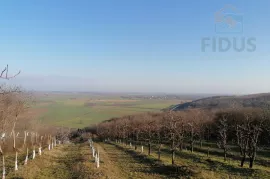 Stambeno/poslovna nekretnina -Popovac/Baranja, Popovac, Kuća