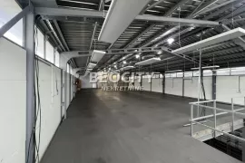 Rakovica, Kneževac, Oslobođenja, 2.0, 770m2, Rakovica, Propiedad comercial