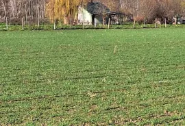 Zemljište - Viljevo/Donji Miholjac, Viljevo, Zemljište