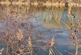 Zemljište - Viljevo/Donji Miholjac, Viljevo, Zemljište